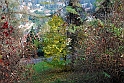 Parco Europa Autunno_101